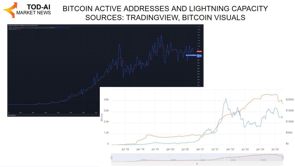 Cuentas activas en Bitcoin y capacidad de Lightning Network.